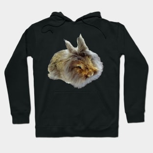 Lionhead Rabbit Hoodie